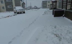 Происшествия