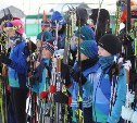 Проект «Лыжи в школу» стартовал в Анивском районе