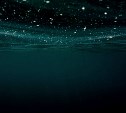 Пропавшего в Охотском море водолаза продолжают искать спасатели
