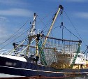 На Камчатке семьям погибших моряков выплатят по 3 миллиона рублей