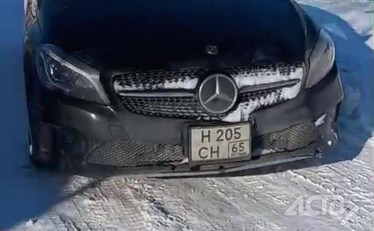 В Южно-Сахалинске на помойке "пасётся" немецкий железный конь