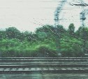 В МЧС уточнили, какие районы накроет сильный дождь