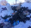 Жители Чапланово год не могут добиться решения "мусорной" проблемы