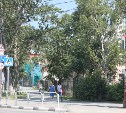 Активисты проверили состояние пешеходных переходов возле школ Южно-Сахалинска