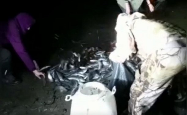 "Рыбные варвары в деле": сахалинцы руками черпают селёдку из моря 