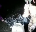 "Рыбные варвары в деле": сахалинцы руками черпают селёдку из моря 
