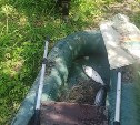 За неделю сахалинские рыбоохранители оштрафовали браконьеров на полмиллиона рублей