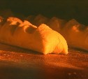 Нарушения при выпечке хлеба обнаружили в селе Малокурильском 