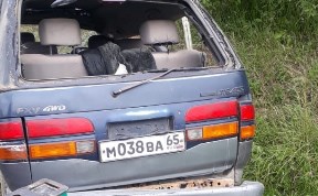 Происшествия