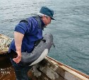 Дельфина спасли на Сахалине сотрудники МЧС 
