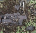 Заросший травой истребитель отыскали в болоте на Сахалине
