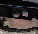 Два мешка морских гребешков обнаружили в автомобиле сахалинки