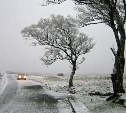 Сильный снег на Сахалине, дождь на Курилах: синоптики озвучили прогноз погоды на неделю