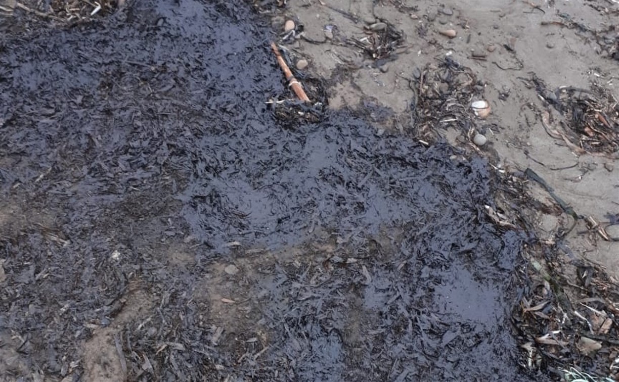 Берег в Песчанском очистили от мазута