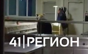 Общество