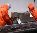 Сахалинским экспортёрам компенсируют затраты на транспортировку продукции