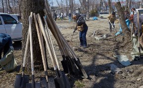 Общество