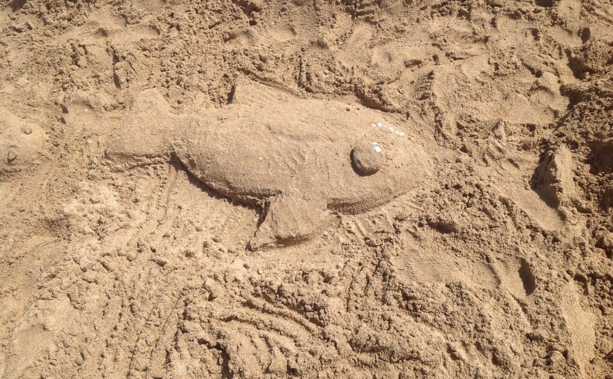 Конкурс на самую большую рыбу из песка "Рыба — улыба" пройдёт в Томари