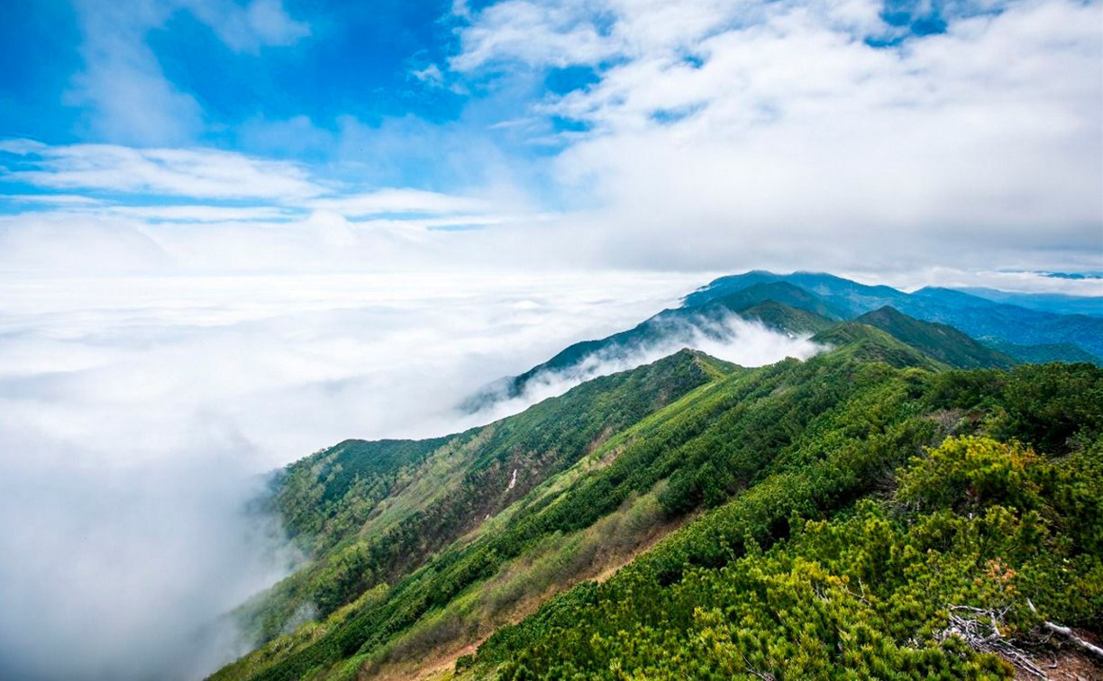 Гору в Смирныховском районе предлагают назвать именем участника боев по освобождению юга Сахалина