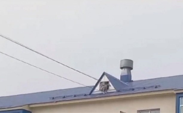 Девушка вылезла на крышу дома в Дальнем, на место съехались экстренные службы