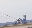 Девушка вылезла на крышу дома в Дальнем, на место съехались экстренные службы