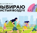 Сахалинская область присоединилась ко Всероссийской акции "Выбираю чистый воздух"