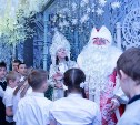 Около 100 000 человек побывали на новогодних каникулах в городском парке Южно-Сахалинска