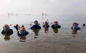 Более 150 сахалинских школьников погрузились под воду, чтобы понаблюдать за жизнью морских обитателей