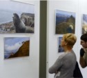 Объявлены победители конкурса экологической фотографии «Сахалин - Курилы – мой дом» (ФОТО)