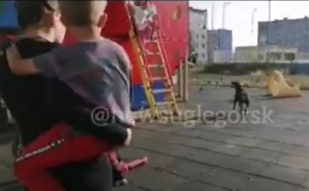 Дети на площадке в Шахтерске испугались ротвейлера без намордника