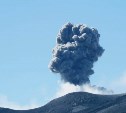 Вулкан на Парамушире выбросил столб пепла и газа