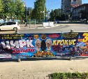 Цирк «Шапито» расклеил рекламу в Южно-Сахалинске вразрез с законом