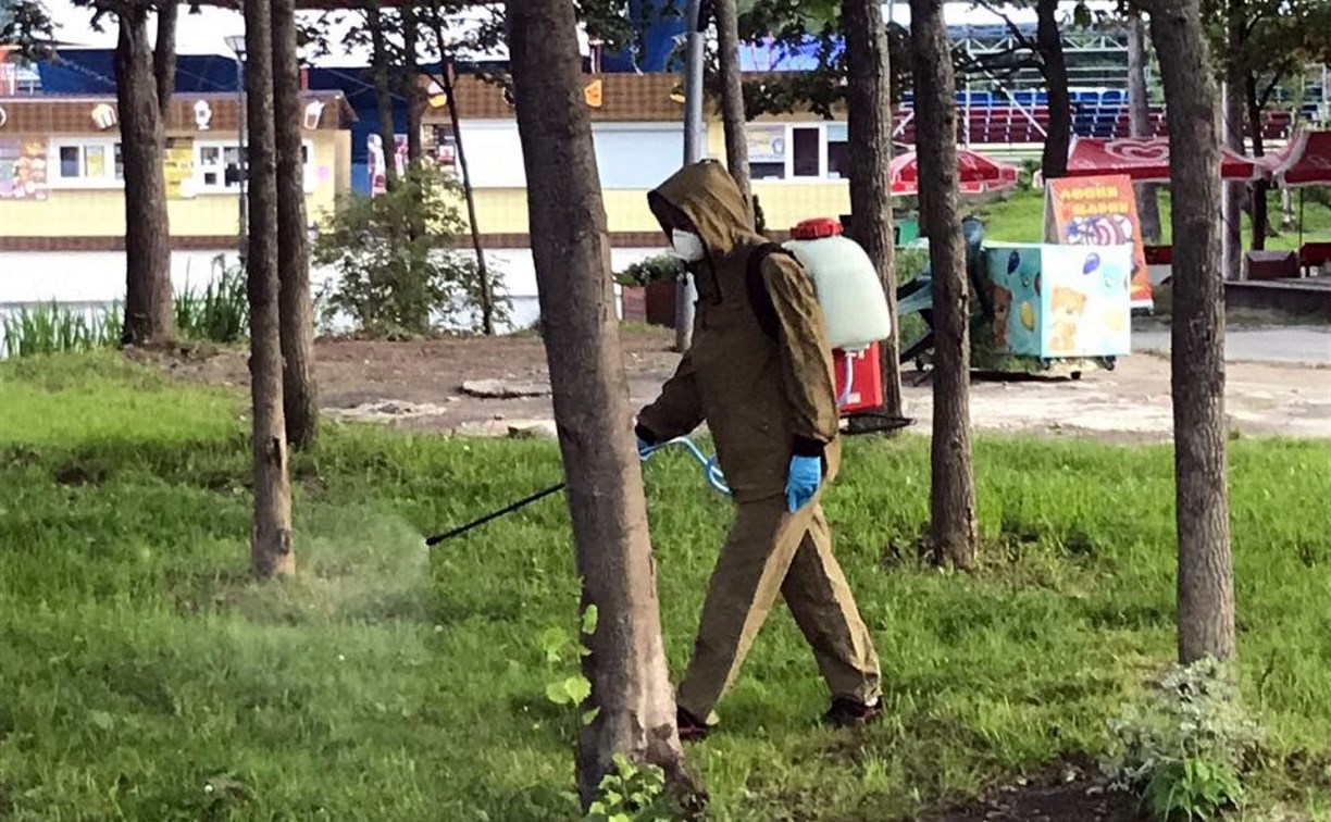 В парке Южно-Сахалинска снова уничтожили клещей