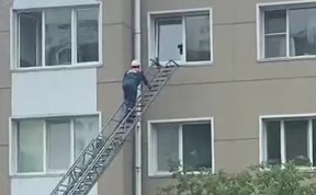 Общество