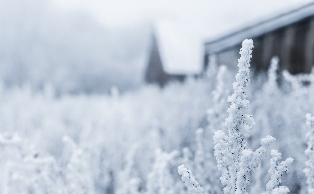 Временами снег: синоптики озвучили прогноз для Сахалина