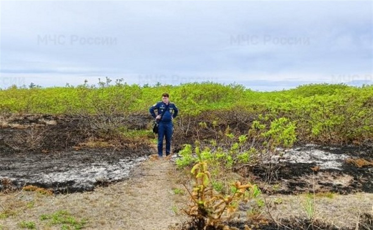 В Холмском районе выгорело 600 "квадратов" сухой травы
