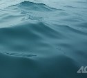 Автомобиль с мёртвым мужчиной обнаружили в реке на Сахалине
