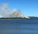 Очевидцы: лес горит в районе мыса Свободного на Сахалине