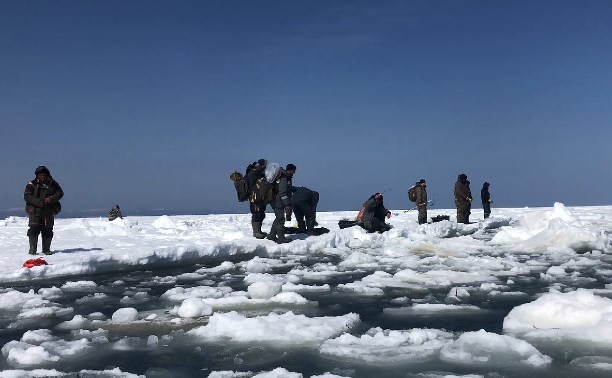 "Последняя рыбалка на зубаря": десятки сахалинцев высыпали на качающиеся льдины около мыса Свободный