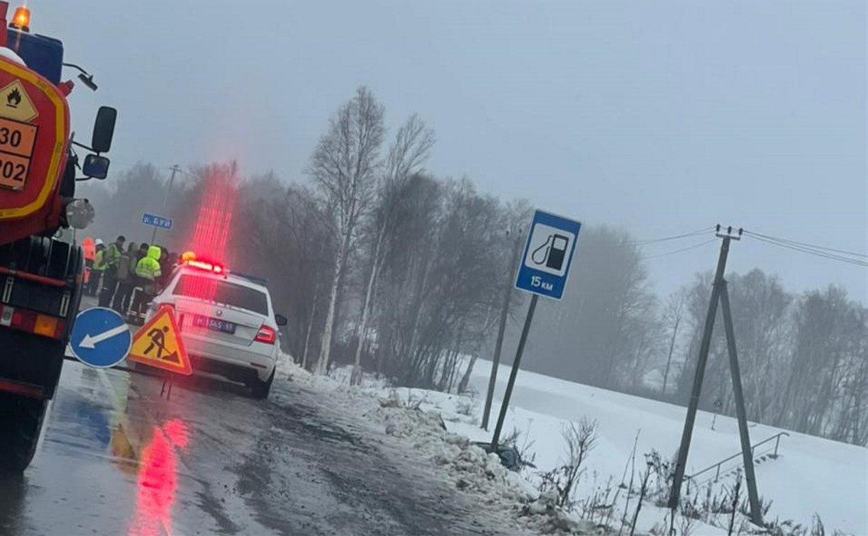 "Лексус" сбил дорожного рабочего и вылетел в кювет на юге Сахалина