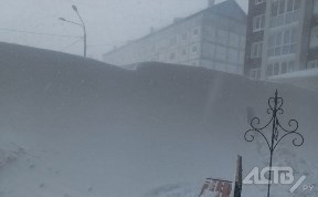 Происшествия