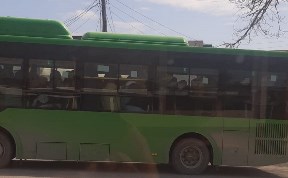 Общество