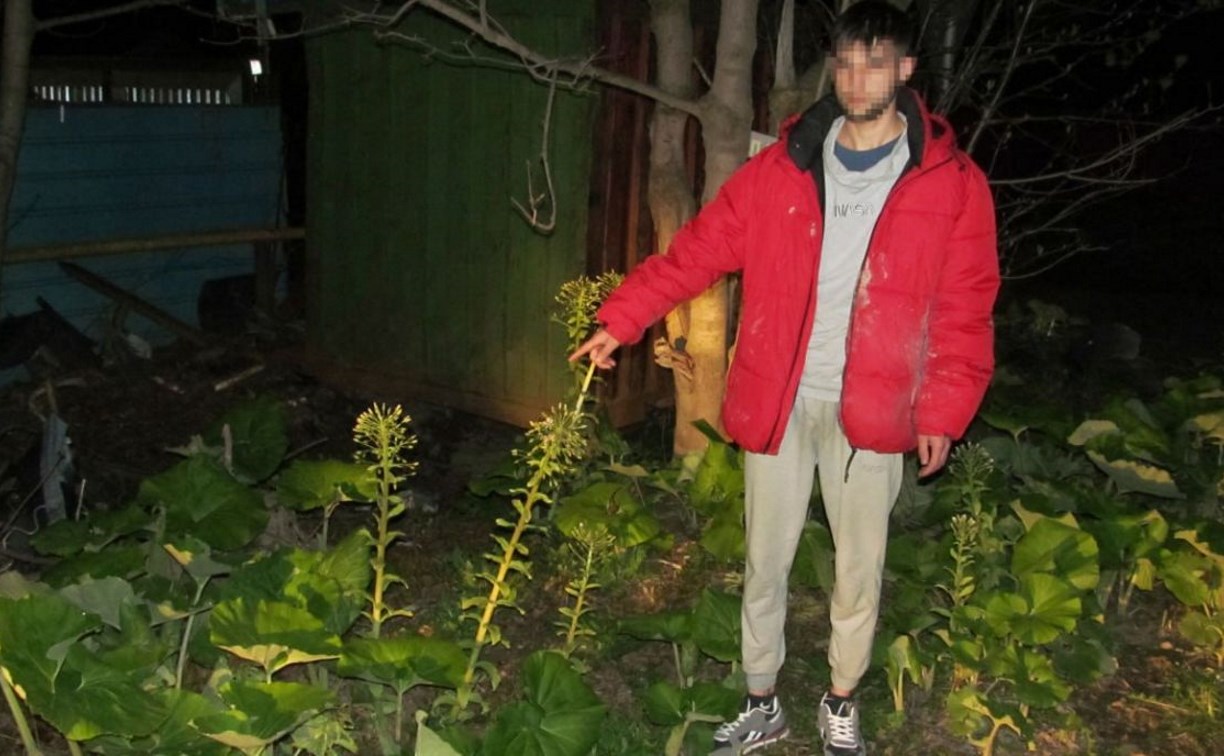 "Сделал 87 закладок героина": иностранцу грозит 20 лет тюрьмы за сбыт наркотиков на Сахалине
