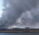 Пожар в Красногорске мог произойти по вине подростков