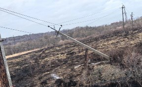 Общество