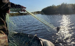 Общество