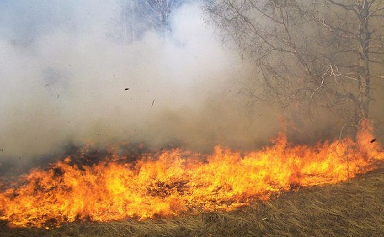 Пока Южно-Сахалинск заметает метель, на Курилах горит сухая трава