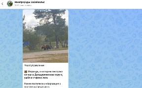 Общество