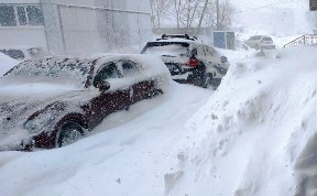 Общество