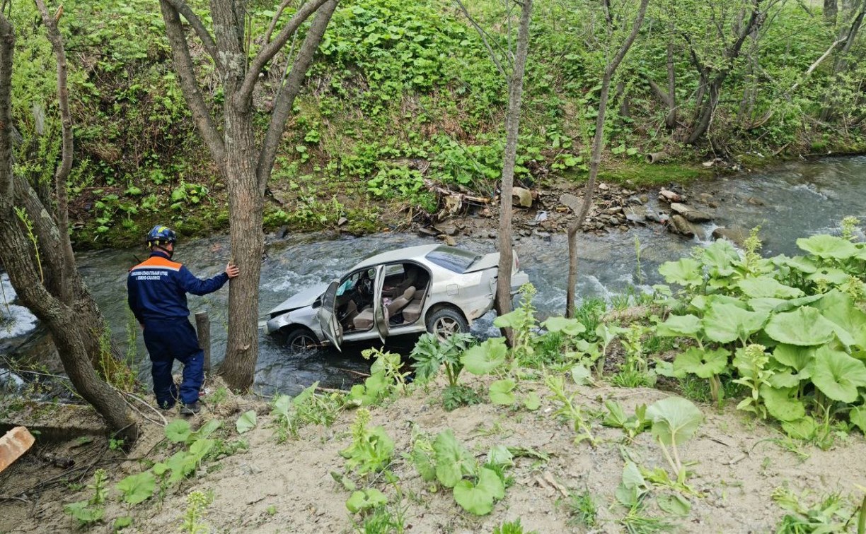 В Синегорске автомобиль вылетел в реку, у пострадавшей - перелом рёбер